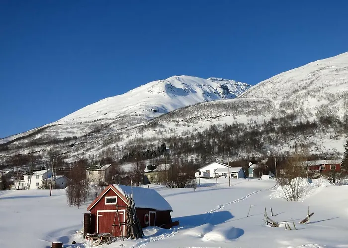 아파트 Camp Olderdalen
